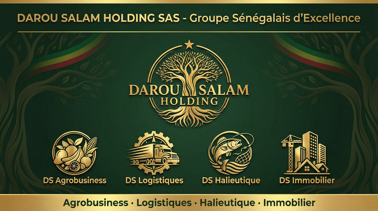 Bannière Darou Salam Holding