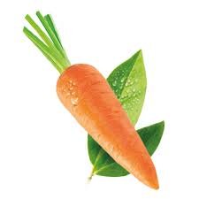 Gamme Légumes Maraîchers Premium