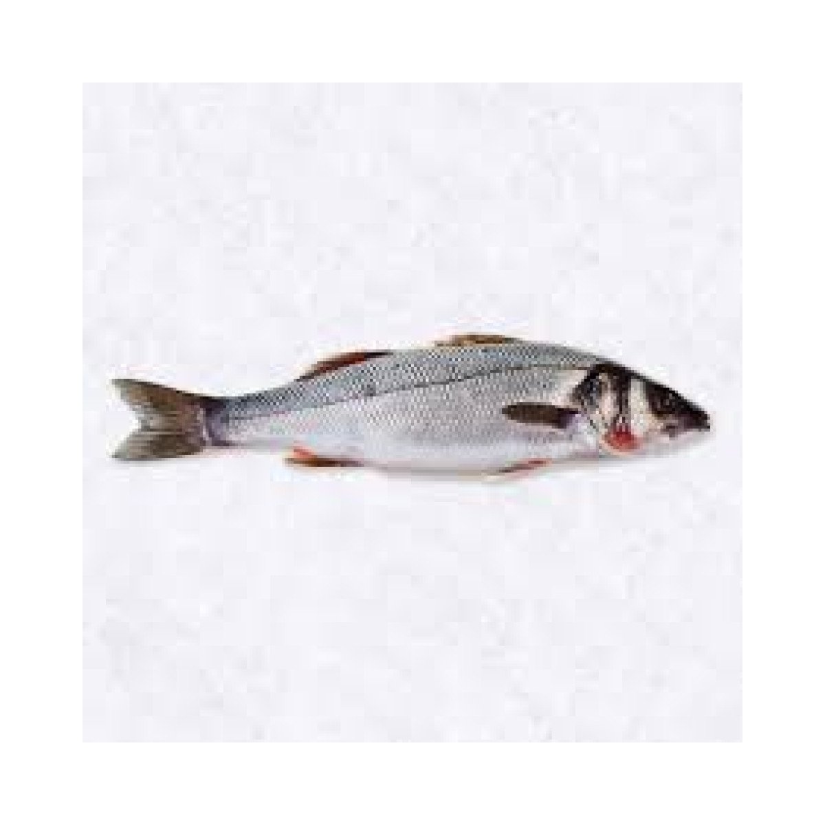 Poissons Nobles Premium