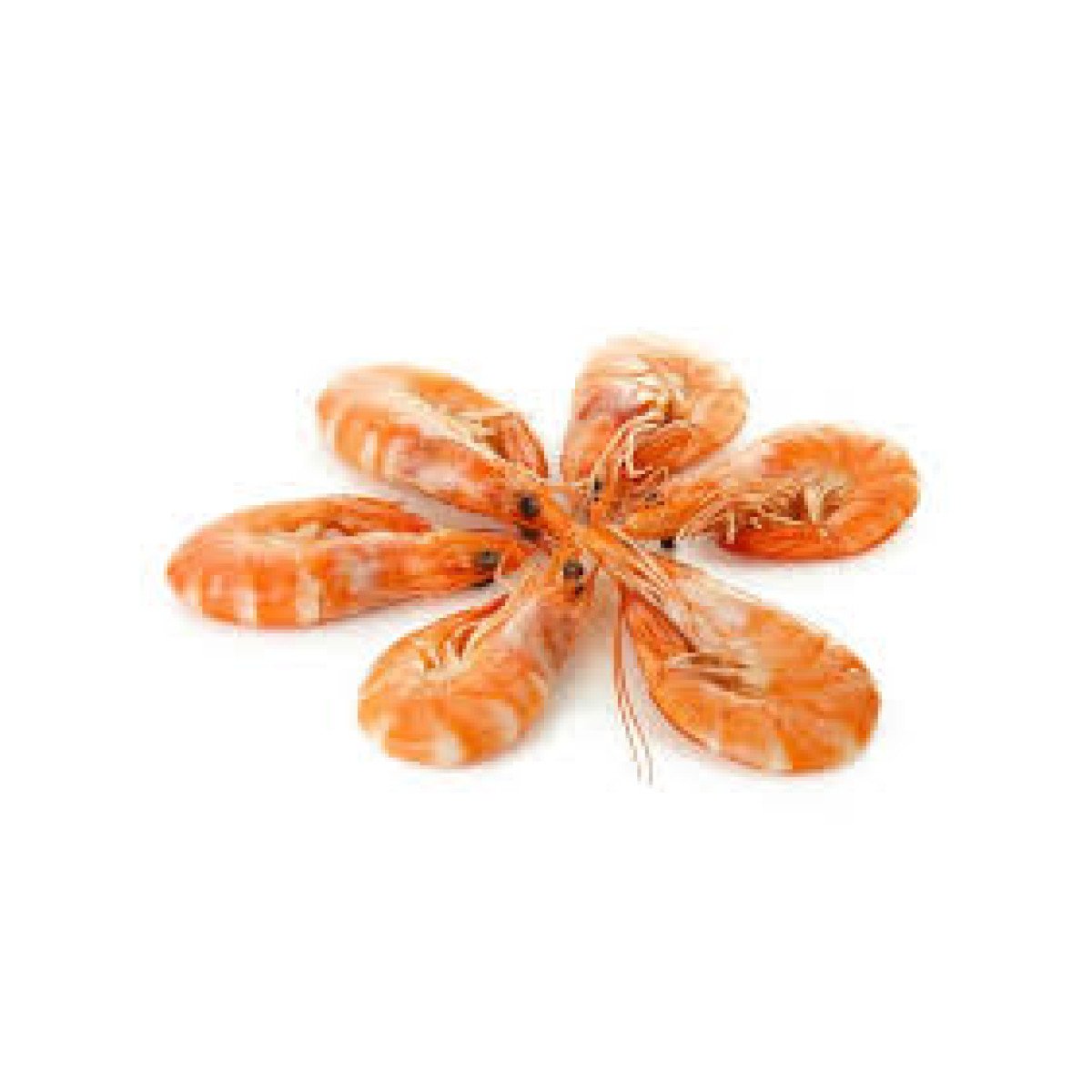 Crevettes Roses Standard