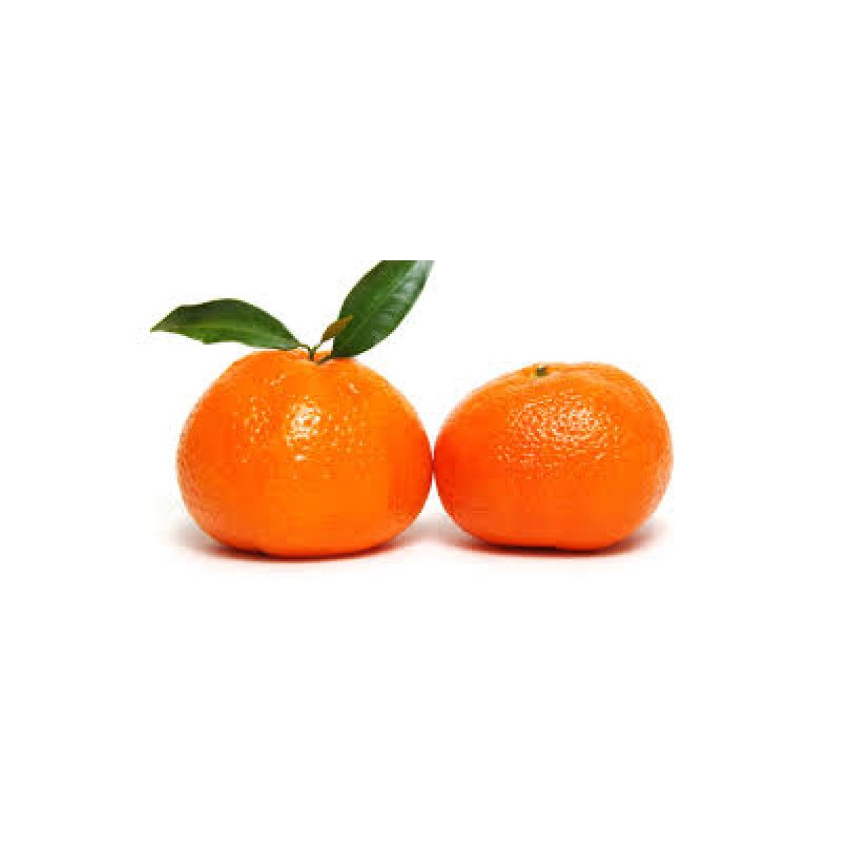 Gamme Fruits Tropicaux & Saisonniers