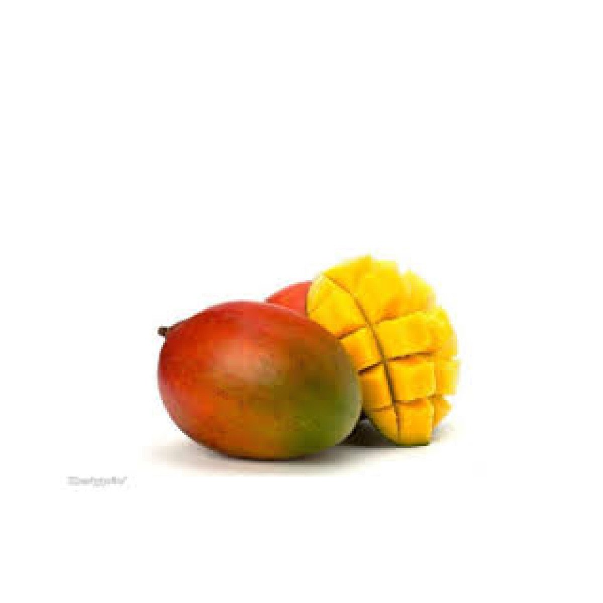 Mangue Export