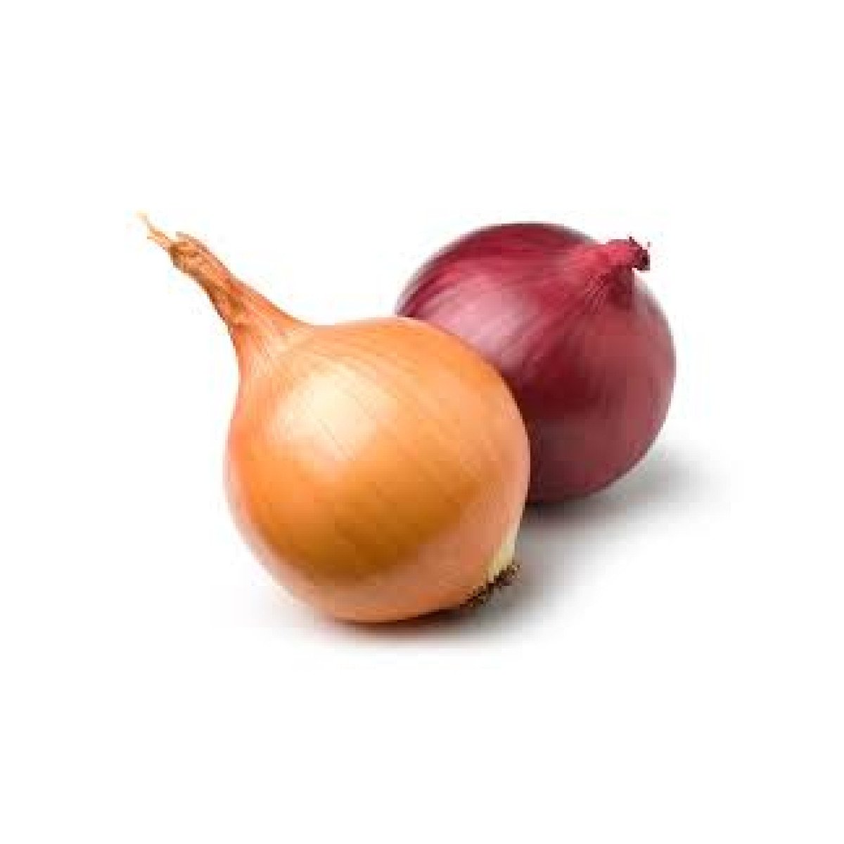 Oignon